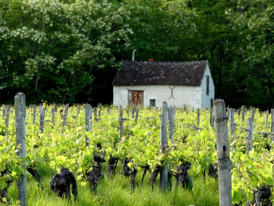 Maison De Bourg Paisible Parcay-sur-Vienne المظهر الخارجي الصورة